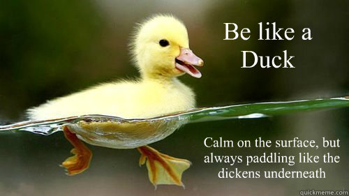Be like a Duck Calm on the surface, but always paddling like the dickens underneath  