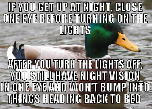 Night Vision  - IF YOU GET UP AT NIGHT, CLOSE ONE EYE BEFORE TURNING ON THE LIGHTS AFTER YOU TURN THE LIGHTS OFF, YOU STILL HAVE NIGHT VISION IN ONE EYE AND WON'T BUMP INTO THINGS HEADING BACK TO BED  Actual Advice Mallard