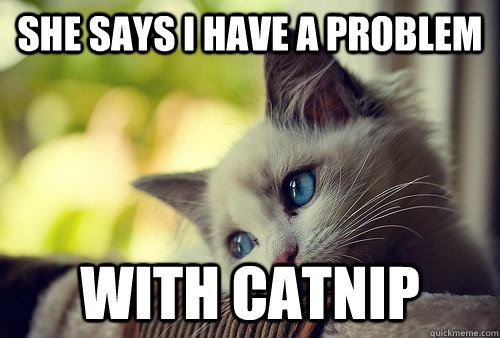 She says i have a problem with catnip  First World Problems Cat