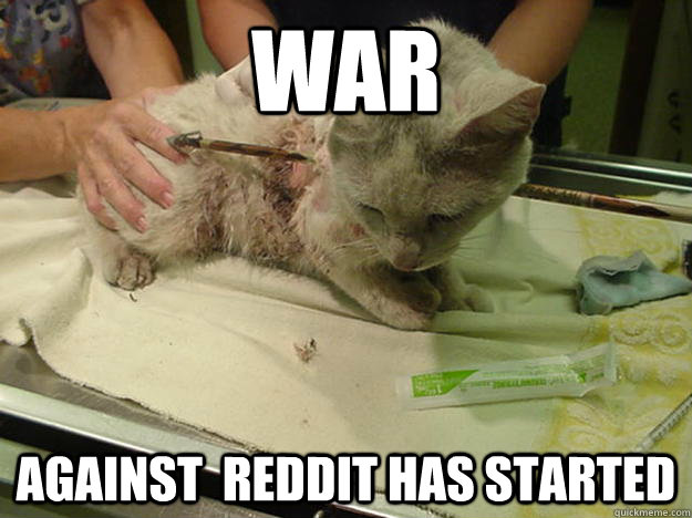 WAr  Against  reddit has started - WAr  Against  reddit has started  Cat War