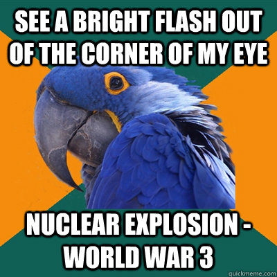 See a bright flash out of the corner of my eye Nuclear explosion -world war 3  Paranoid Parrot