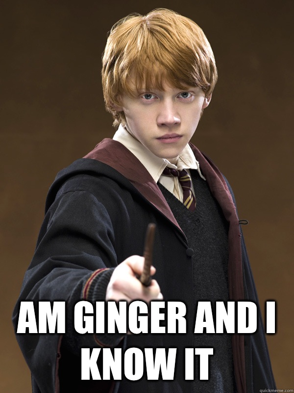  Am ginger and I know it  -  Am ginger and I know it   Ron Weasley