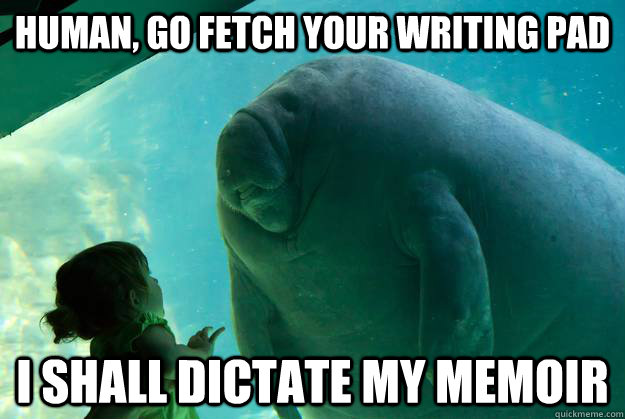 human, go fetch your writing pad I shall dictate my memoir - human, go fetch your writing pad I shall dictate my memoir  Overlord Manatee