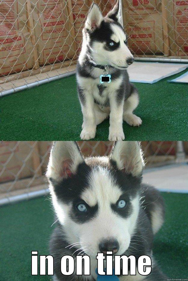 turn your work -  IN ON TIME Insanity puppy