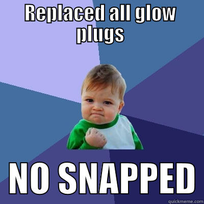 REPLACED ALL GLOW PLUGS   NO SNAPPED Success Kid