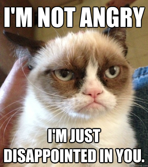 i'm not angry
 I'm just disappointed in you.  Not Amused Grumpy Cat