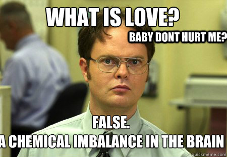 What is love?
 False.
A chemical imbalance in the brain Baby dont hurt me? - What is love?
 False.
A chemical imbalance in the brain Baby dont hurt me?  Schrute