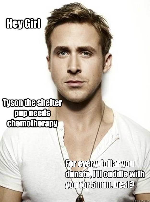 Hey Girl Tyson the shelter pup needs chemotherapy For every dollar you donate, I'll cuddle with you for 5 min. Deal?  Ryan Gosling Hey Girl