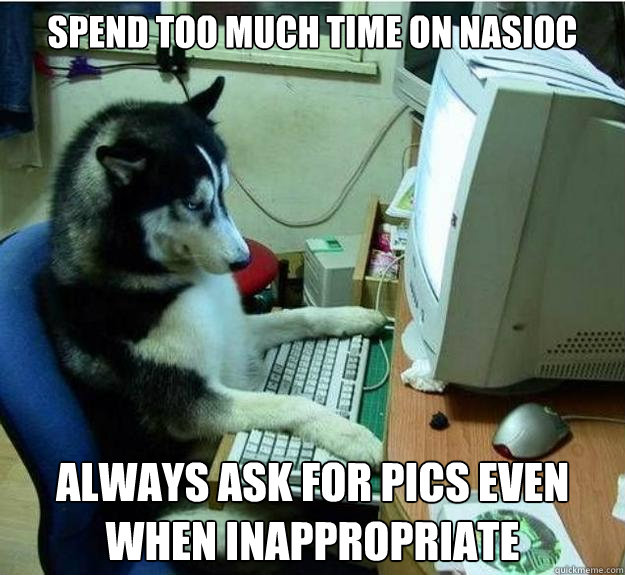 spend too much time on NASIOC always ask for pics even when inappropriate  Disapproving Dog