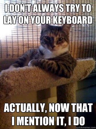 i don't always try to lay on your keyboard Actually, now that i mention it, i do  
