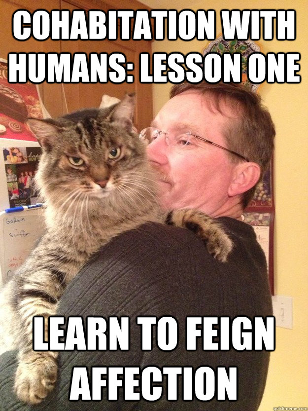 Cohabitation with Humans: lesson one learn to feign affection - Cohabitation with Humans: lesson one learn to feign affection  Cohabitation Cat