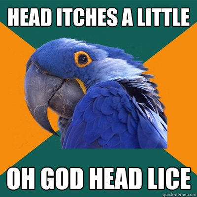 head itches a little oh god head lice - head itches a little oh god head lice  Paranoid Parrot