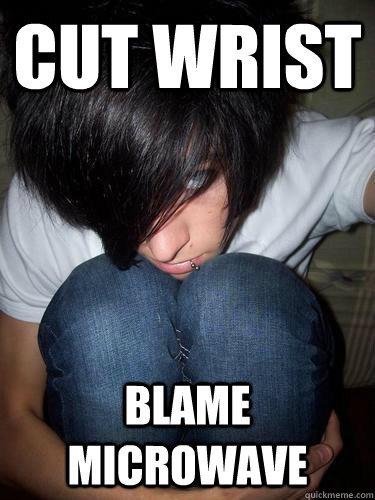 cut wrist blame microwave - cut wrist blame microwave  Attention seeking emo kid