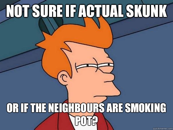 Not sure if actual skunk Or if the neighbours are smoking pot?  Futurama Fry