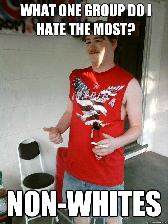 what one group do i hate the most? non-whites - what one group do i hate the most? non-whites  Redneck Randal
