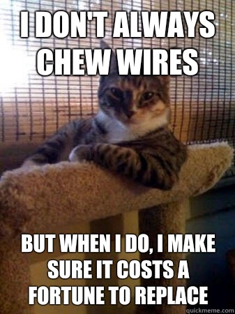 I don't always chew wires but when I do, I make sure it costs a fortune to replace  The Most Interesting Cat in the World