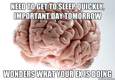 Need to get to sleep quickly, important day tomorrow Wonders what your ex is doing  Scumbag Brain