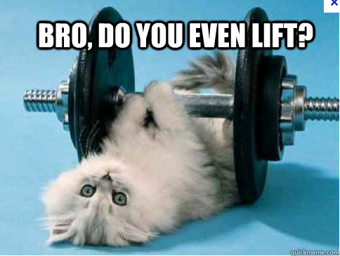 Bro, Do you even lifT? - Bro, Do you even lifT?  Misc