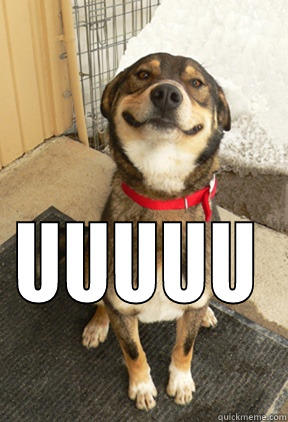  UUUUU Good Dog Greg