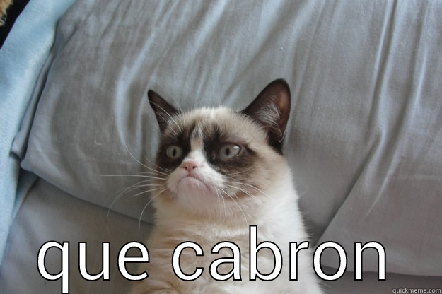  QUE CABRON Grumpy Cat
