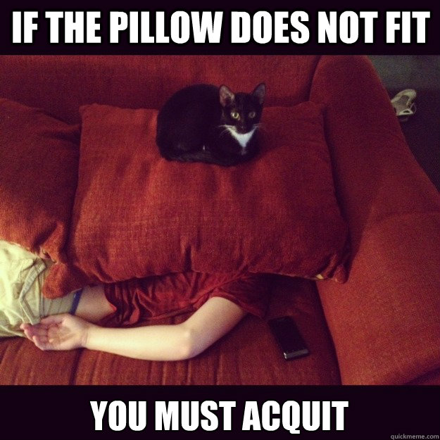 if THE PILLOW DOES NOT FIT you MUST ACQUIT  jealous cat