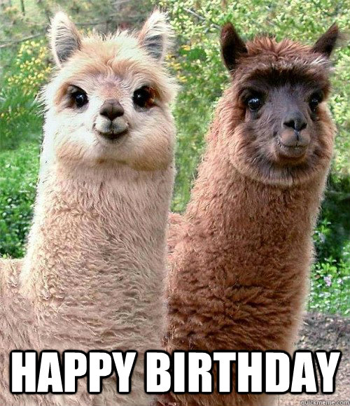  happy birthday -  happy birthday  Happy birthday Llama