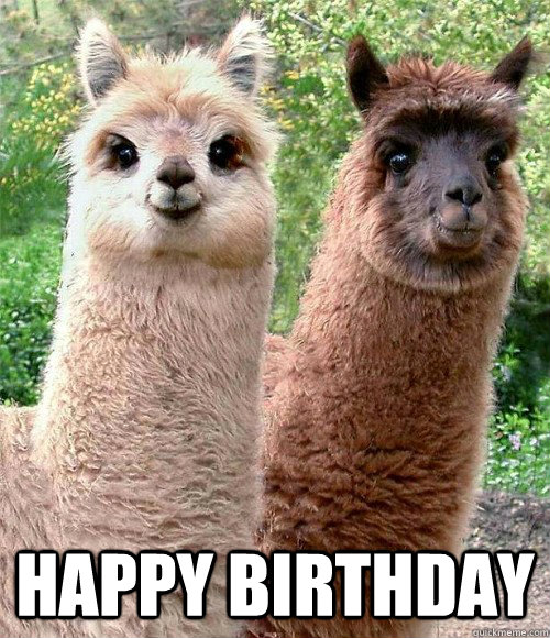  HAPPY BIRTHDAY -  HAPPY BIRTHDAY  Happy birthday Llama