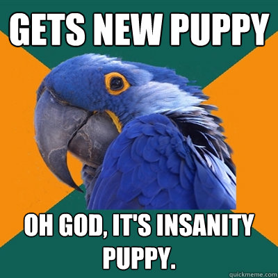 Gets new puppy Oh god, it's insanity puppy.  Paranoid Parrot