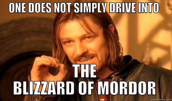 ONE DOES NOT SIMPLY DRIVE INTO  THE BLIZZARD OF MORDOR Boromir