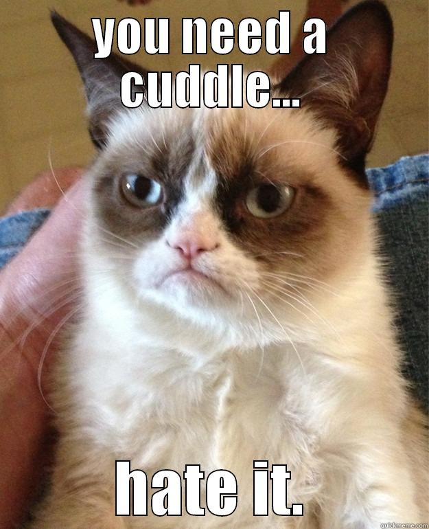 YOU NEED A CUDDLE... HATE IT. Grump Cat