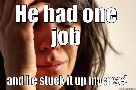 HE HAD ONE JOB AND HE STUCK IT UP MY ARSE! First World Problems