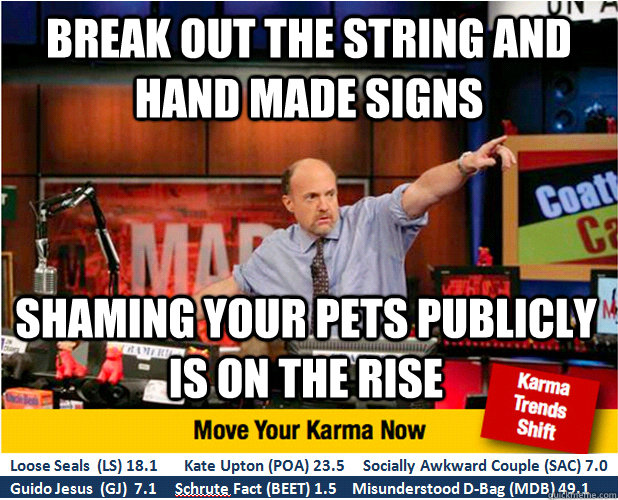 Break out the string and hand made signs Shaming your pets publicly is on the rise - Break out the string and hand made signs Shaming your pets publicly is on the rise  Jim Kramer with updated ticker