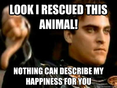 look i rescued this animal! nothing can describe my happiness for you  Downvoting Roman