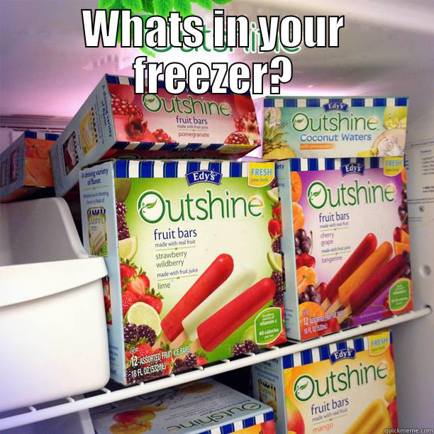  WHATS IN YOUR FREEZER? Misc