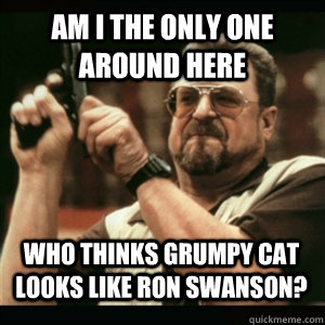 Am i the only one around here Who thinks grumpy cat looks like ron swanson? - Am i the only one around here Who thinks grumpy cat looks like ron swanson?  Misc