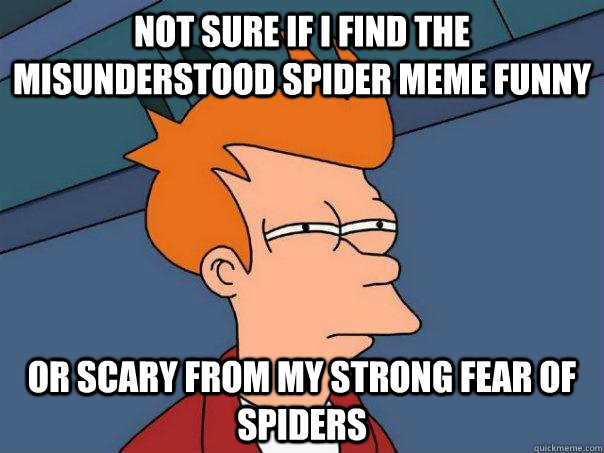 Not sure if I find the Misunderstood Spider meme funny Or scary from my strong fear of spiders  Futurama Fry