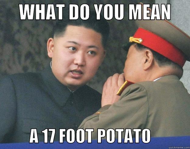 WHAT DO YOU MEAN A 17 FOOT POTATO -      WHAT DO YOU MEAN                A 17 FOOT POTATO            Hungry Kim Jong Un