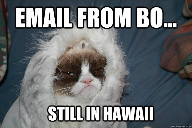 email from Bo... still in hawaii - email from Bo... still in hawaii  Cold Grumpy Cat