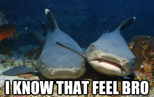  I know that feel bro  Compassionate Shark Friend