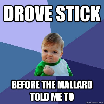 Drove stick before the mallard told me to  Success Kid