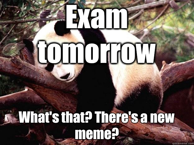 Exam tomorrow What's that? There's a new meme? - Exam tomorrow What's that? There's a new meme?  Procrastination Panda