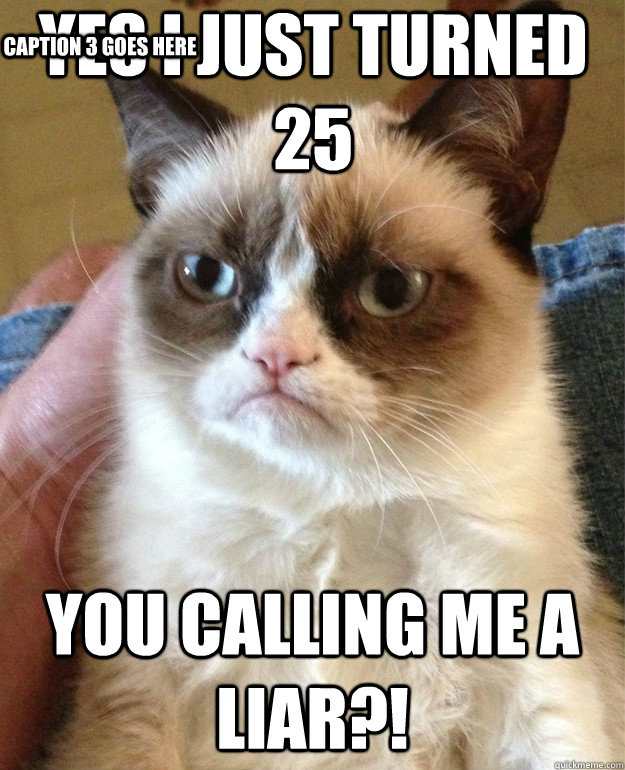Yes I just turned 25 You calling me a liar?! Caption 3 goes here - Yes I just turned 25 You calling me a liar?! Caption 3 goes here  Grumpy Cat