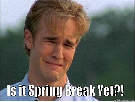 Spring Break Meme -  IS IT SPRING BREAK YET?!  1990s Problems