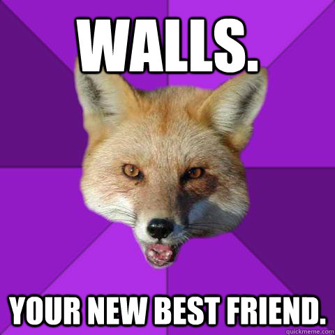 Walls. Your new best friend.  Forensics Fox