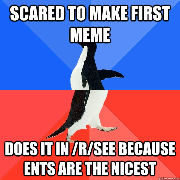 scared to make first meme does it in /r/see because ents are the nicest  Socially Awkward Awesome Penguin