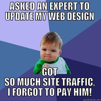 ASKED AN EXPERT TO UPDATE MY WEB DESIGN GOT SO MUCH SITE TRAFFIC, I FORGOT TO PAY HIM! Success Kid