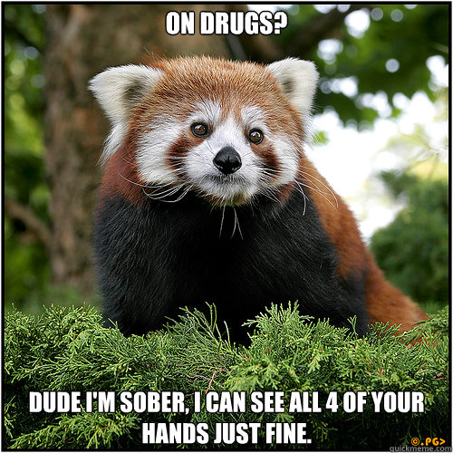 On drugs? Dude I'm sober, I can see all 4 of your hands just fine.  Shady drug dealer red panda