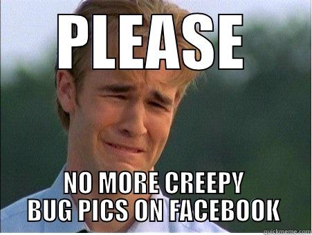 PLEASE NO MORE CREEPY BUG PICS ON FACEBOOK 1990s Problems