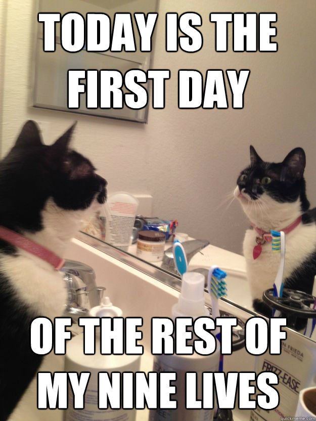 Today is the first day of the rest of my nine lives  