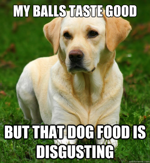 my balls taste good but that dog food is disgusting  Dog Logic